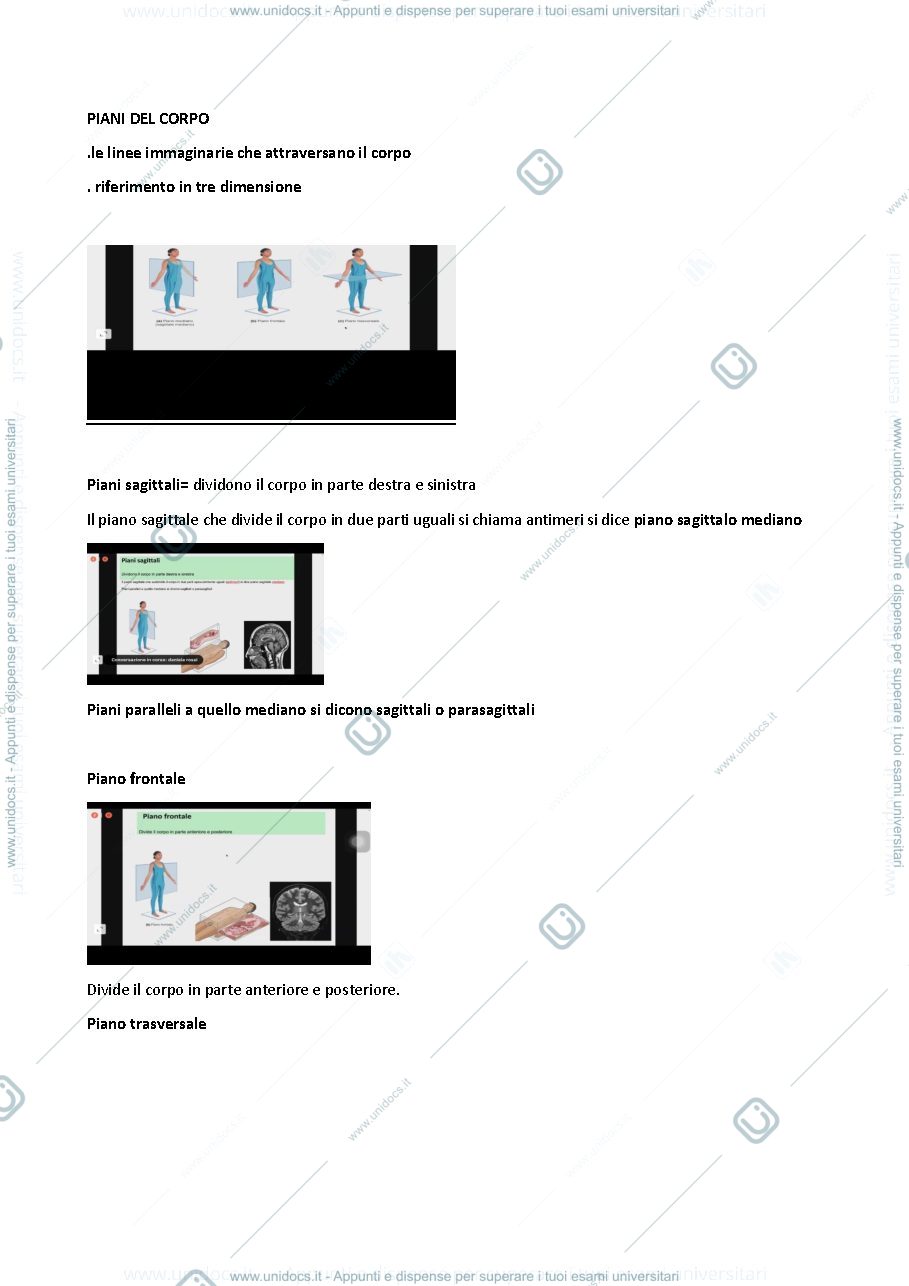 Anteprima pagina 3 — anatomia 2