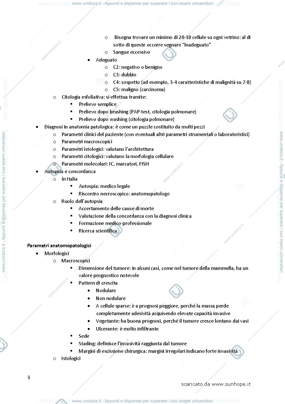 Anteprima pagina 3 — ANATOMIA PATOLOGICA