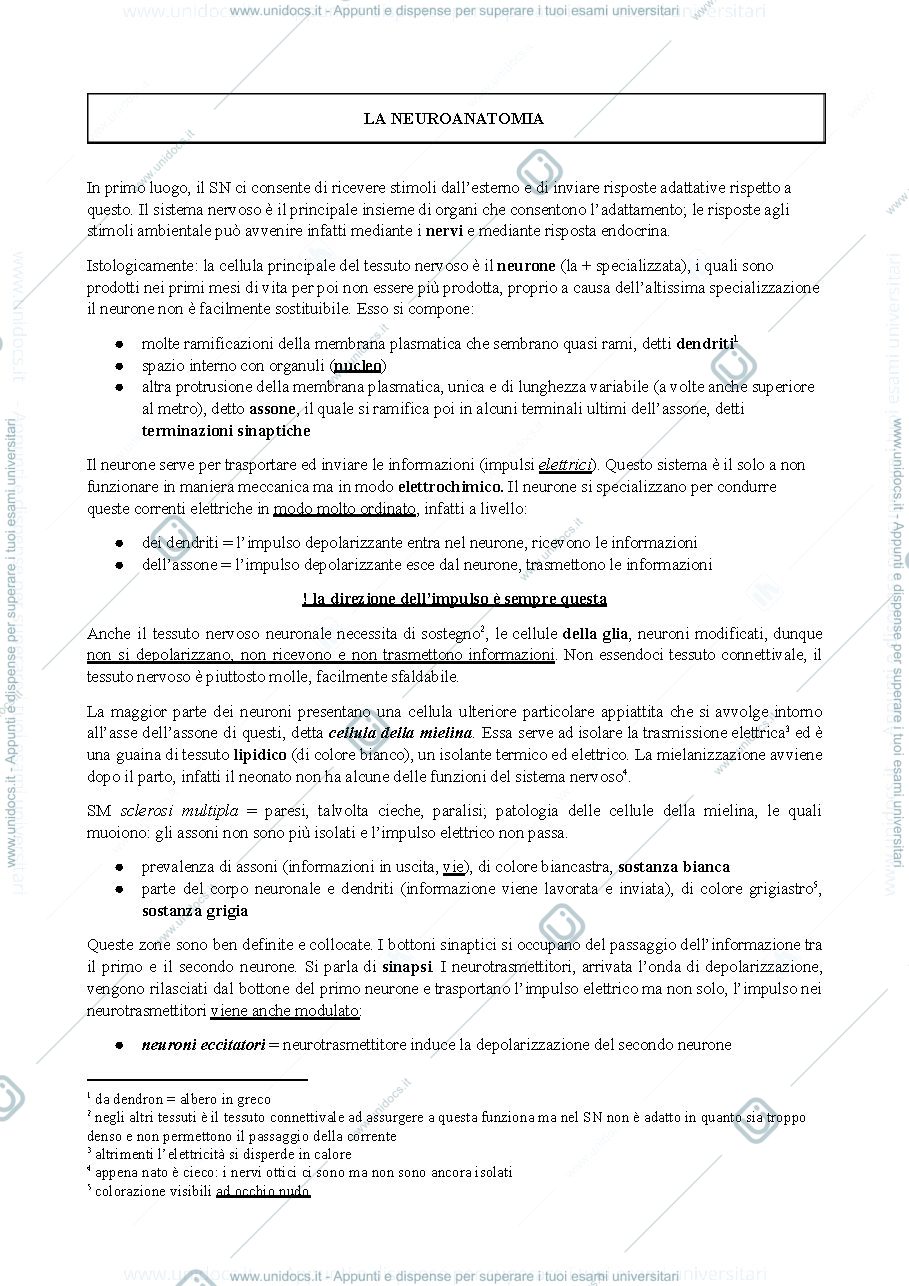 Anteprima pagina 1 — anatomia 