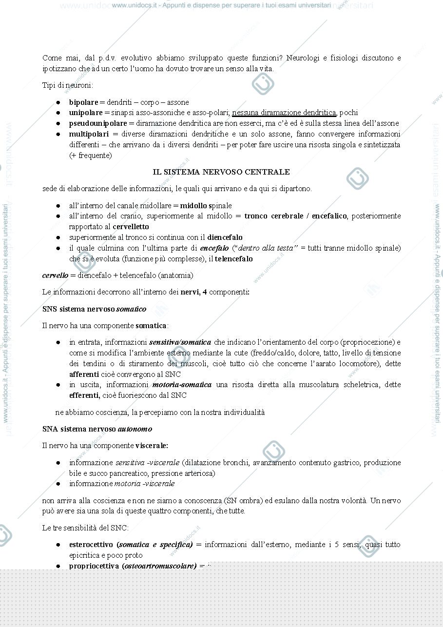 Anteprima pagina 3 — anatomia 