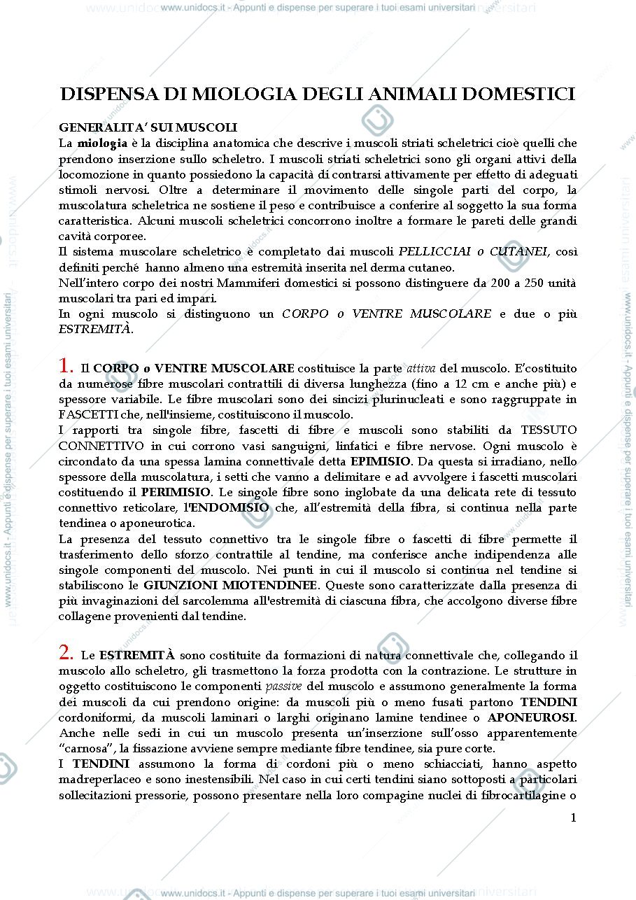 Anteprima pagina 1 — dispensa miologia