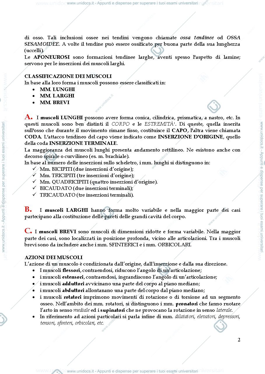 Anteprima pagina 2 — dispensa miologia