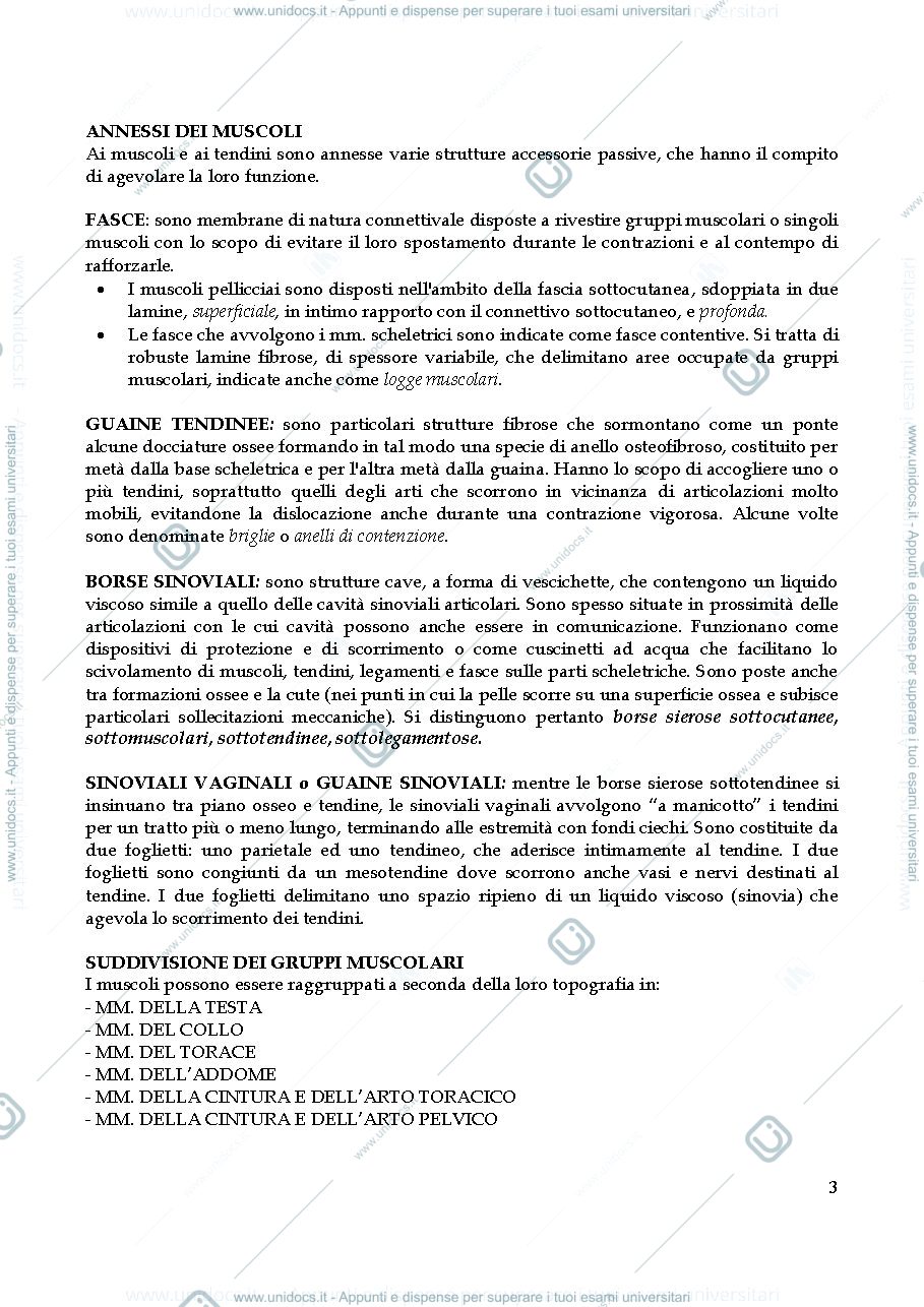 Anteprima pagina 3 — dispensa miologia