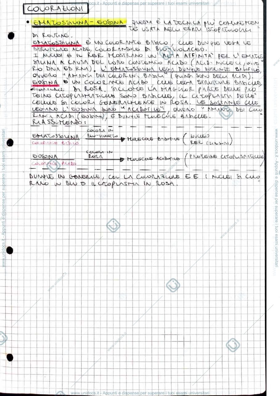 Anteprima pagina 2 — Anatomia Patologica Parte 1