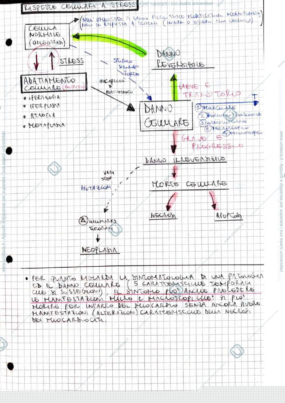 Anteprima pagina 5 — Anatomia Patologica Parte 1