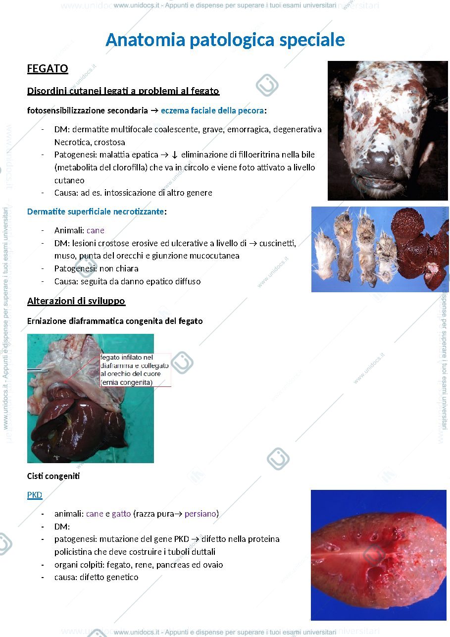 Anteprima pagina 1 — Anatomia patologica speciale 