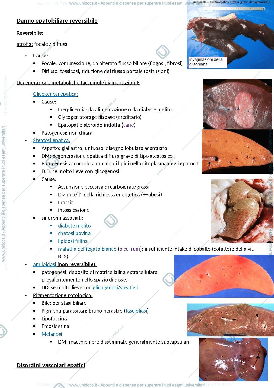 Anteprima pagina 3 — Anatomia patologica speciale 