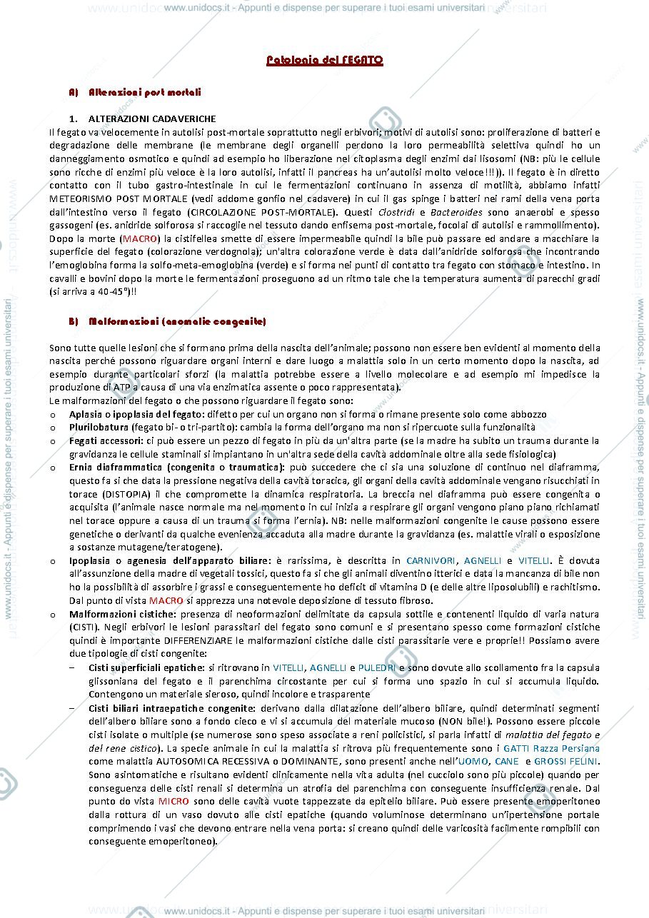 Anteprima pagina 4 — AP1