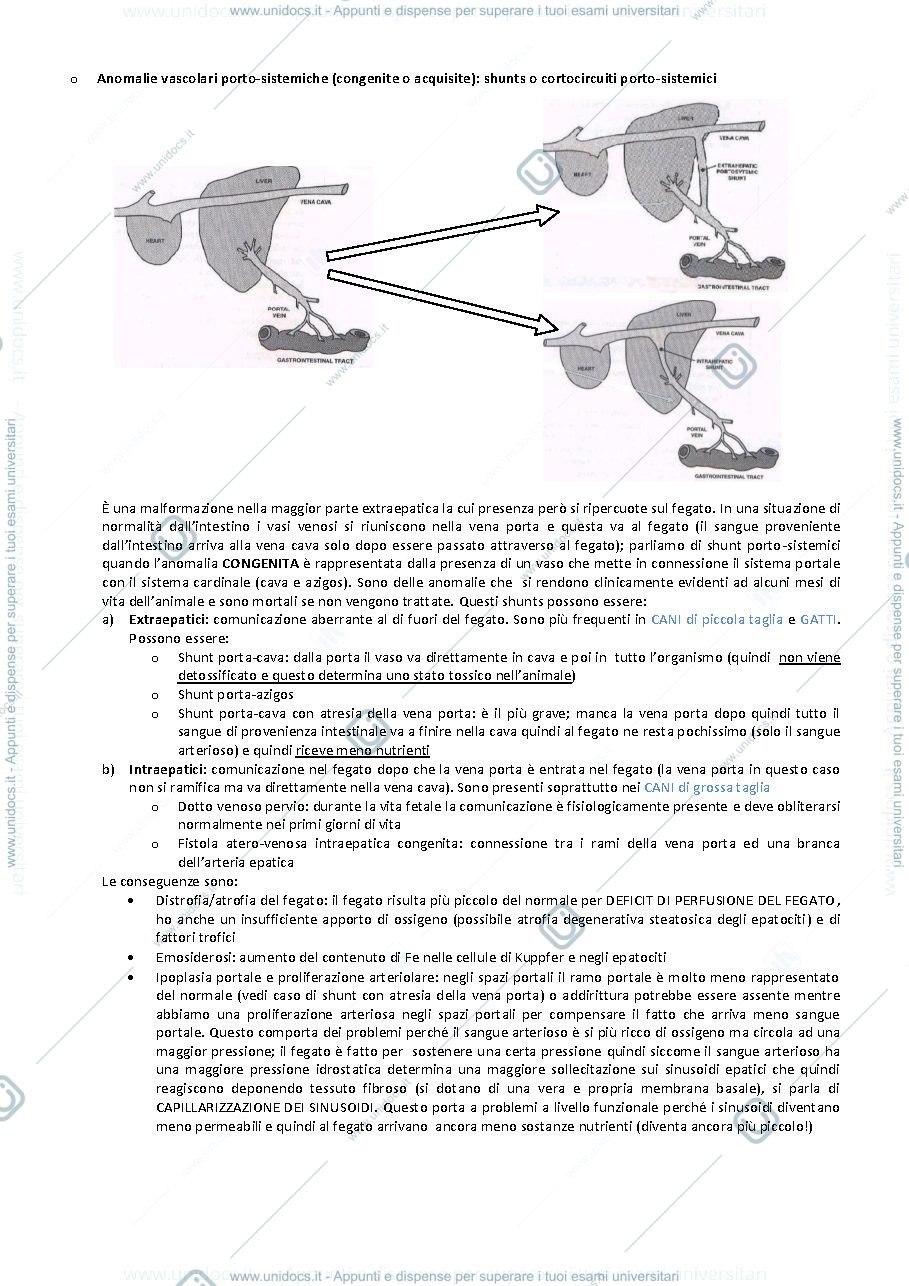 Anteprima pagina 5 — AP1