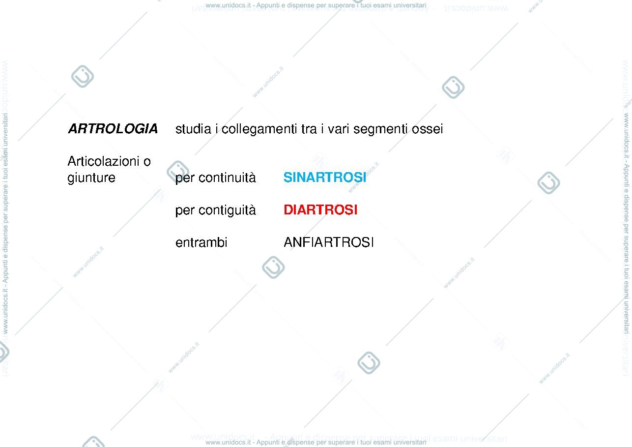 Anteprima pagina 1 — Articolazioni