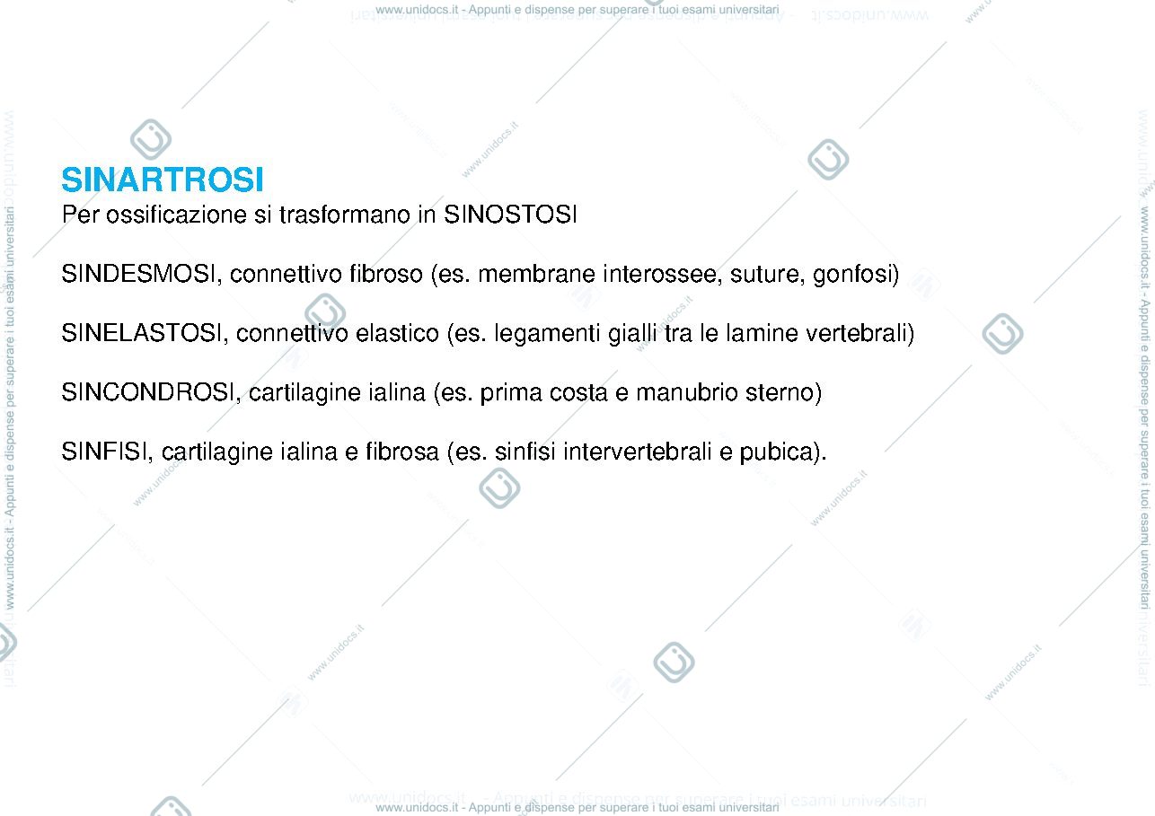 Anteprima pagina 3 — Articolazioni
