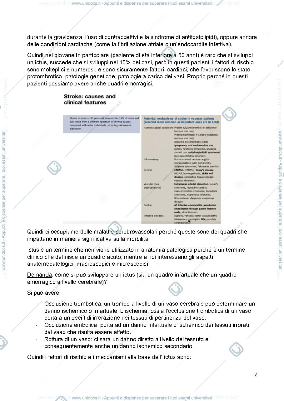 Anteprima pagina 2 — Anatomia Patologica 
