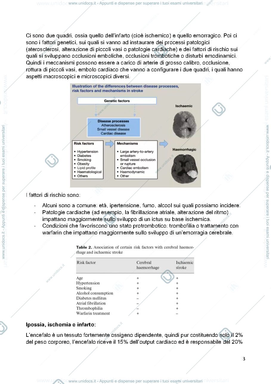 Anteprima pagina 3 — Anatomia Patologica 