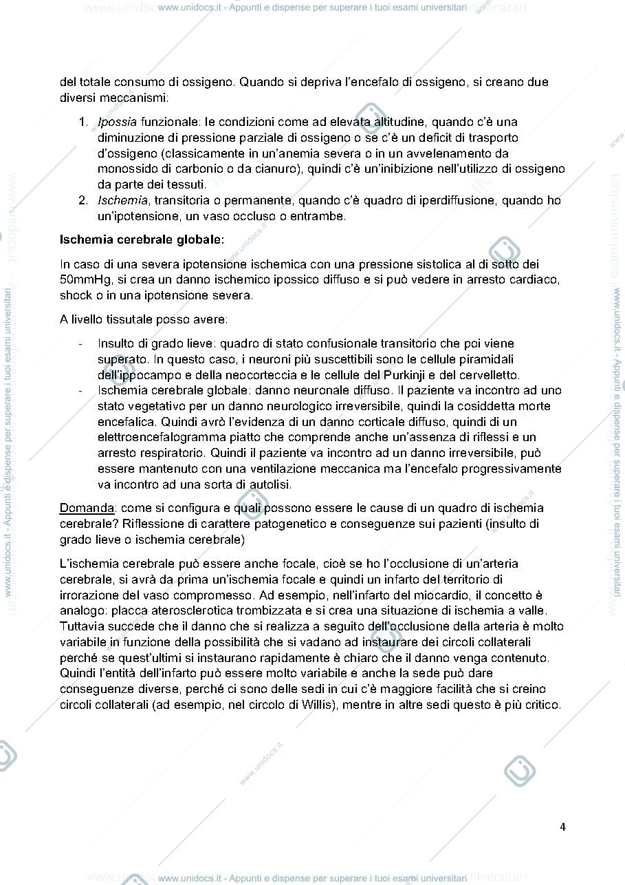 Anteprima pagina 4 — Anatomia Patologica 