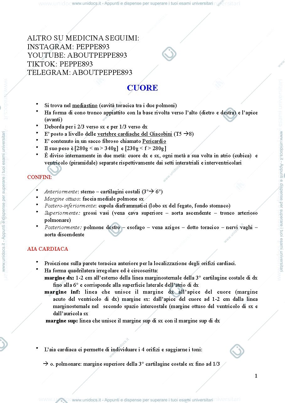 Anteprima pagina 1 — Cuore