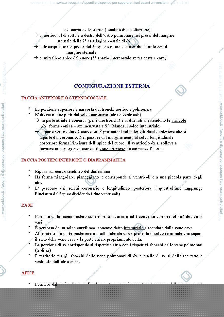 Anteprima pagina 2 — Cuore