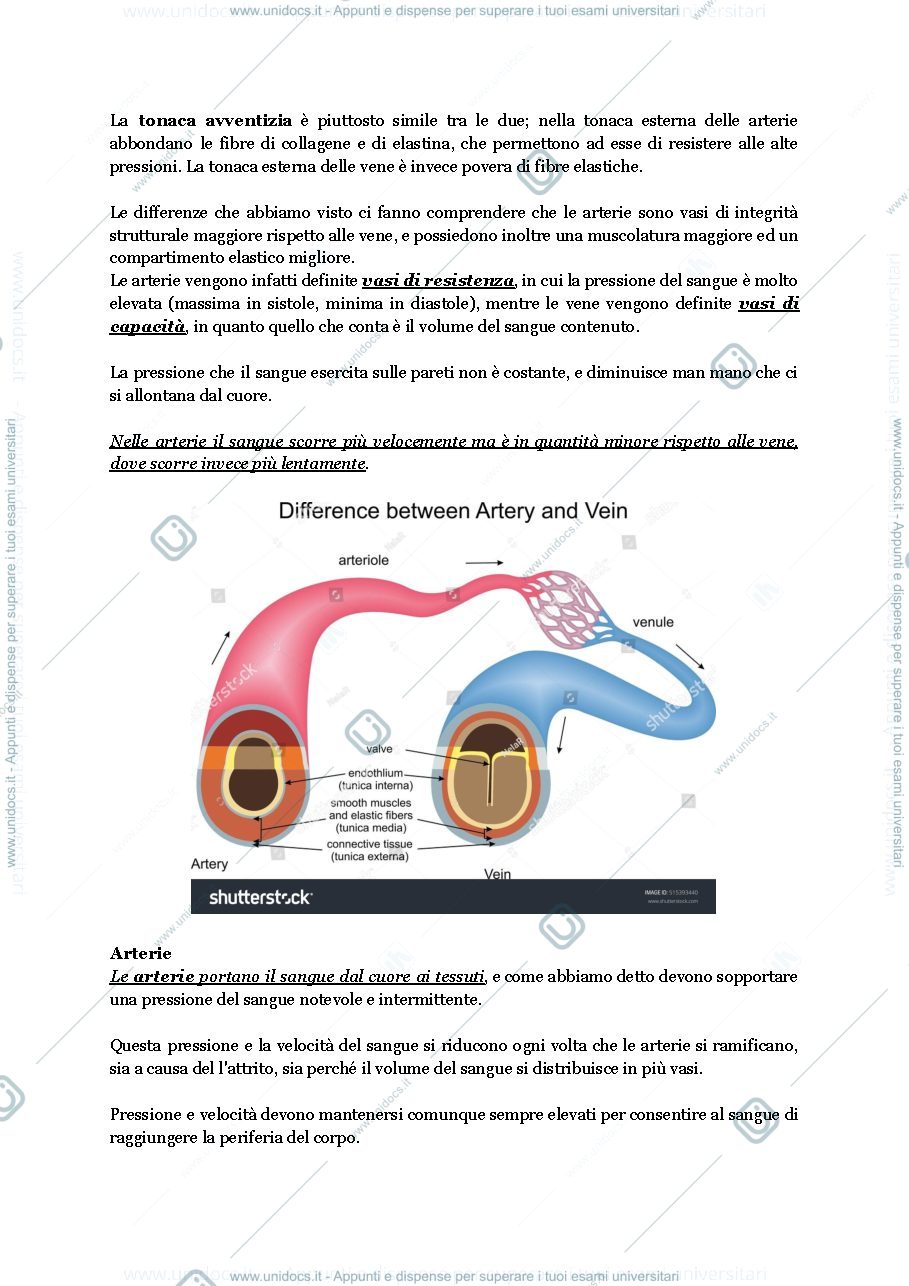 Anteprima pagina 2 — Apparato circolatorio