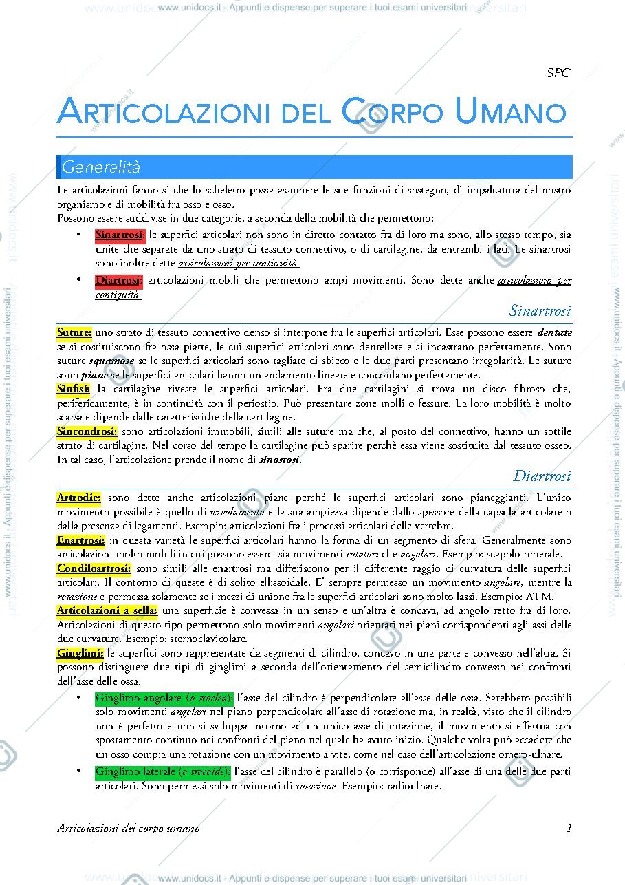 Anteprima pagina 1 — articolazioni