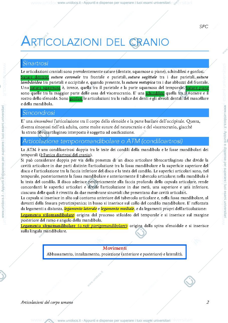 Anteprima pagina 2 — articolazioni