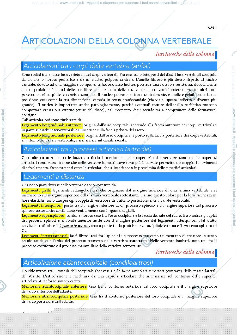 Anteprima pagina 3 — articolazioni