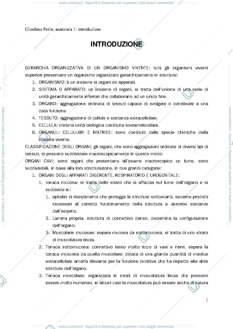 Anteprima pagina 1 — anatomia 1