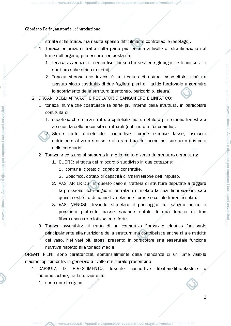 Anteprima pagina 2 — anatomia 1