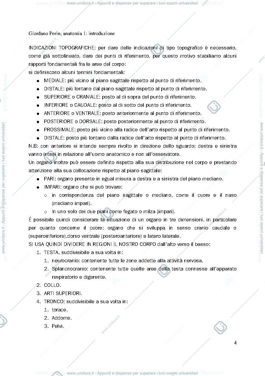 Anteprima pagina 4 — anatomia 1