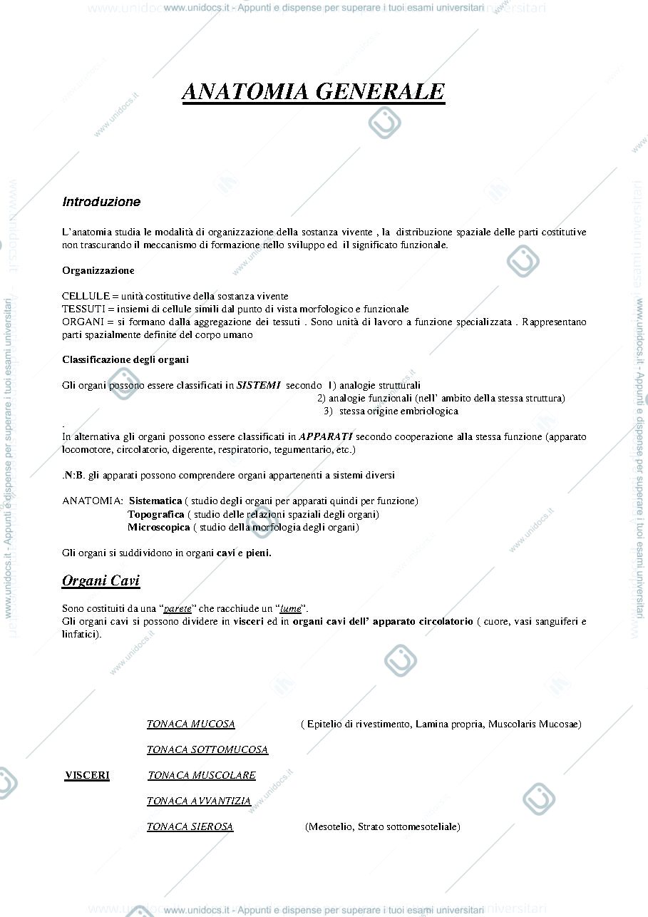 Anteprima pagina 1 — riassunto anatomia 1