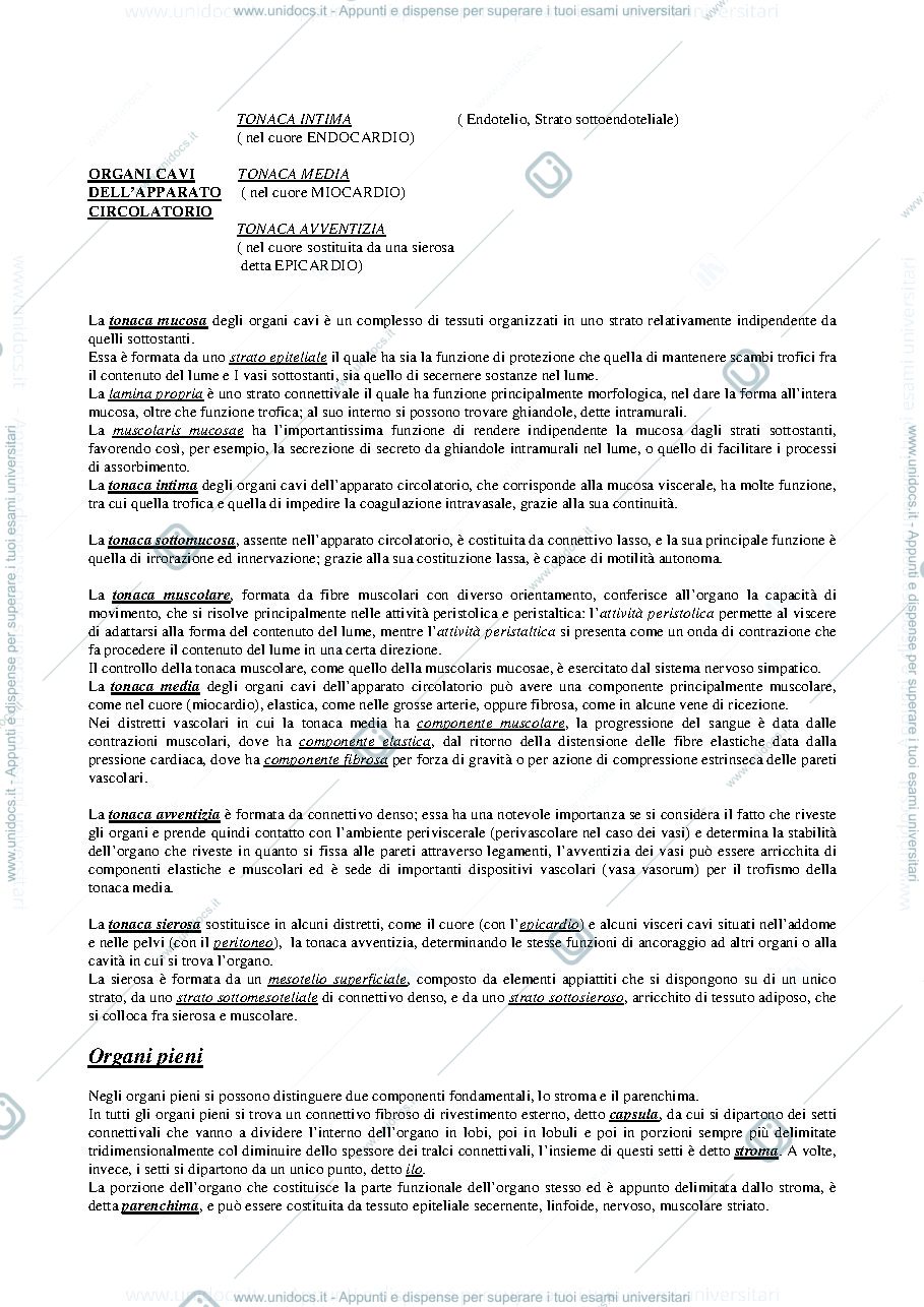 Anteprima pagina 2 — riassunto anatomia 1