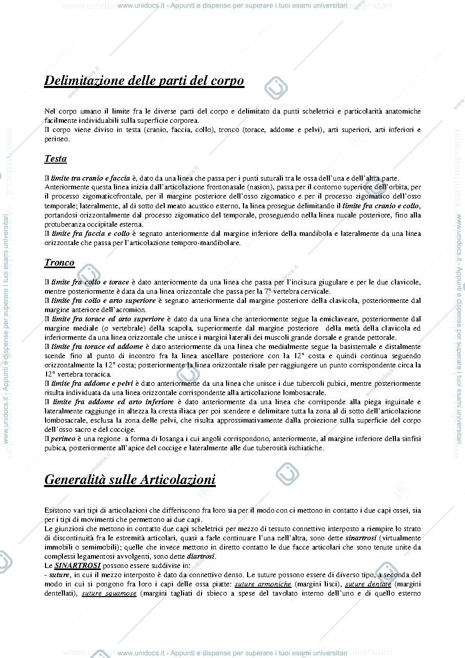 Anteprima pagina 3 — riassunto anatomia 1