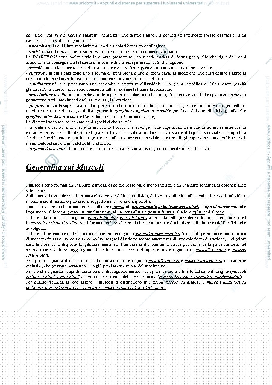 Anteprima pagina 4 — riassunto anatomia 1