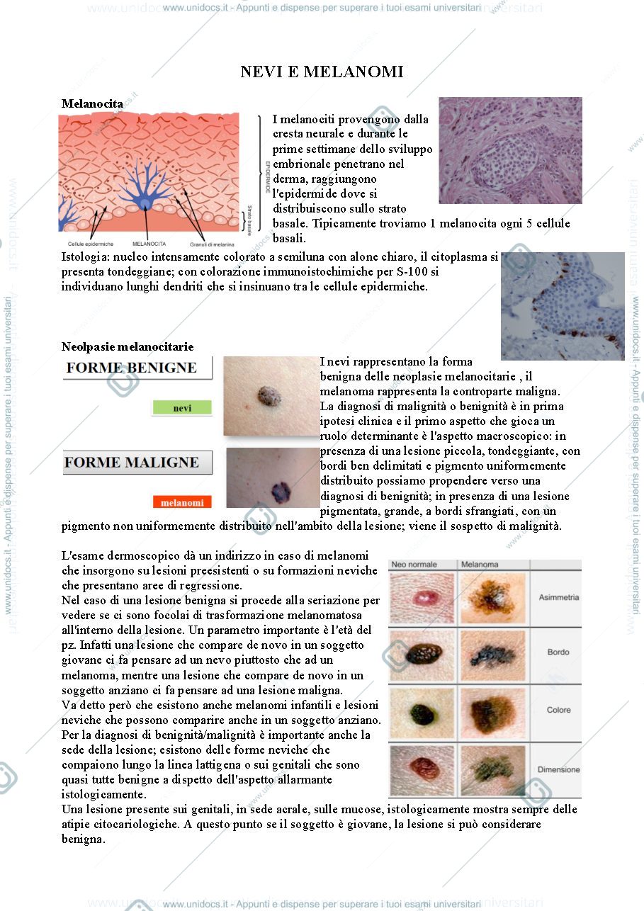 Anteprima pagina 1 — nevi e melanomi