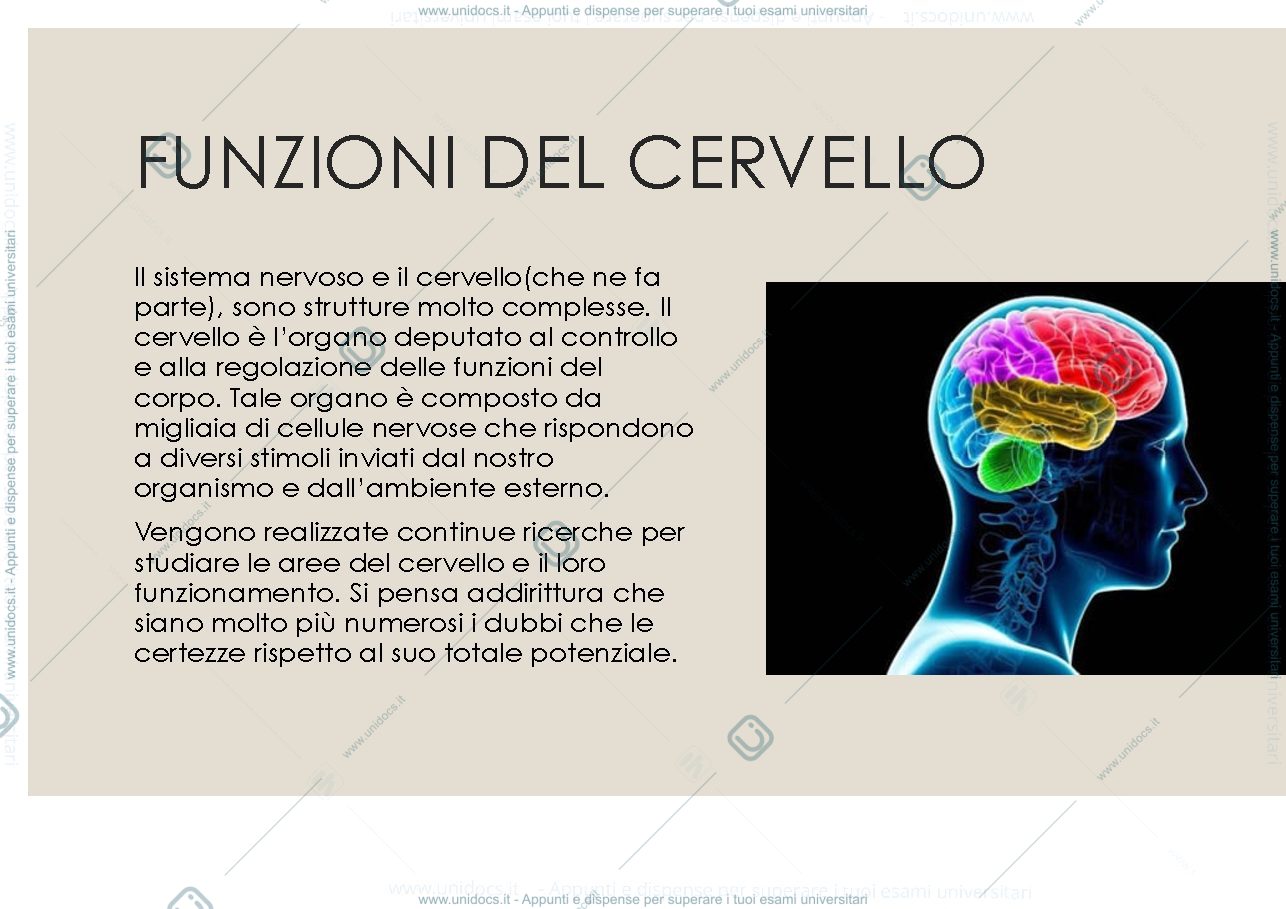 Anteprima pagina 3 — Cervello e mente