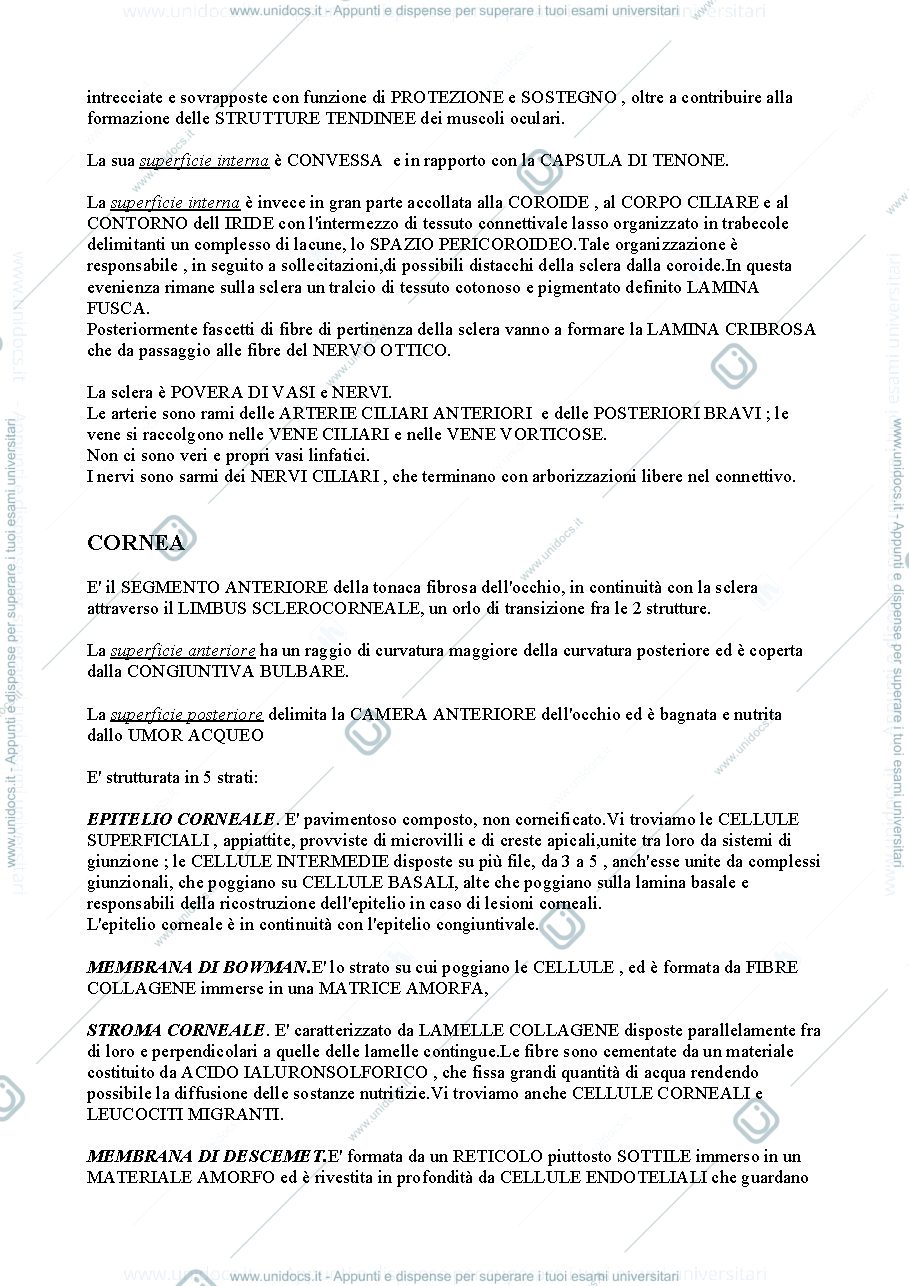 Anteprima pagina 2 — Occhio