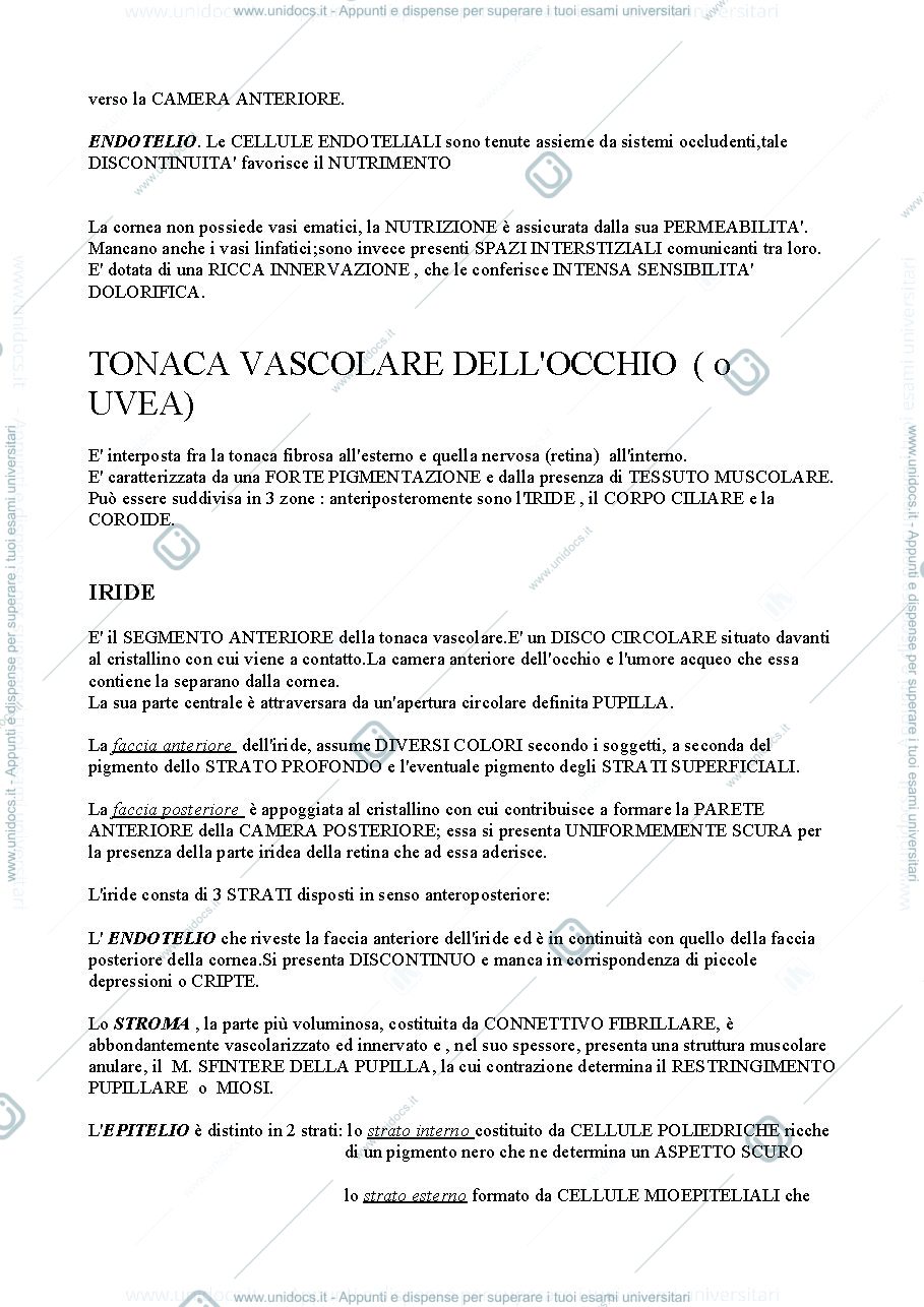 Anteprima pagina 3 — Occhio
