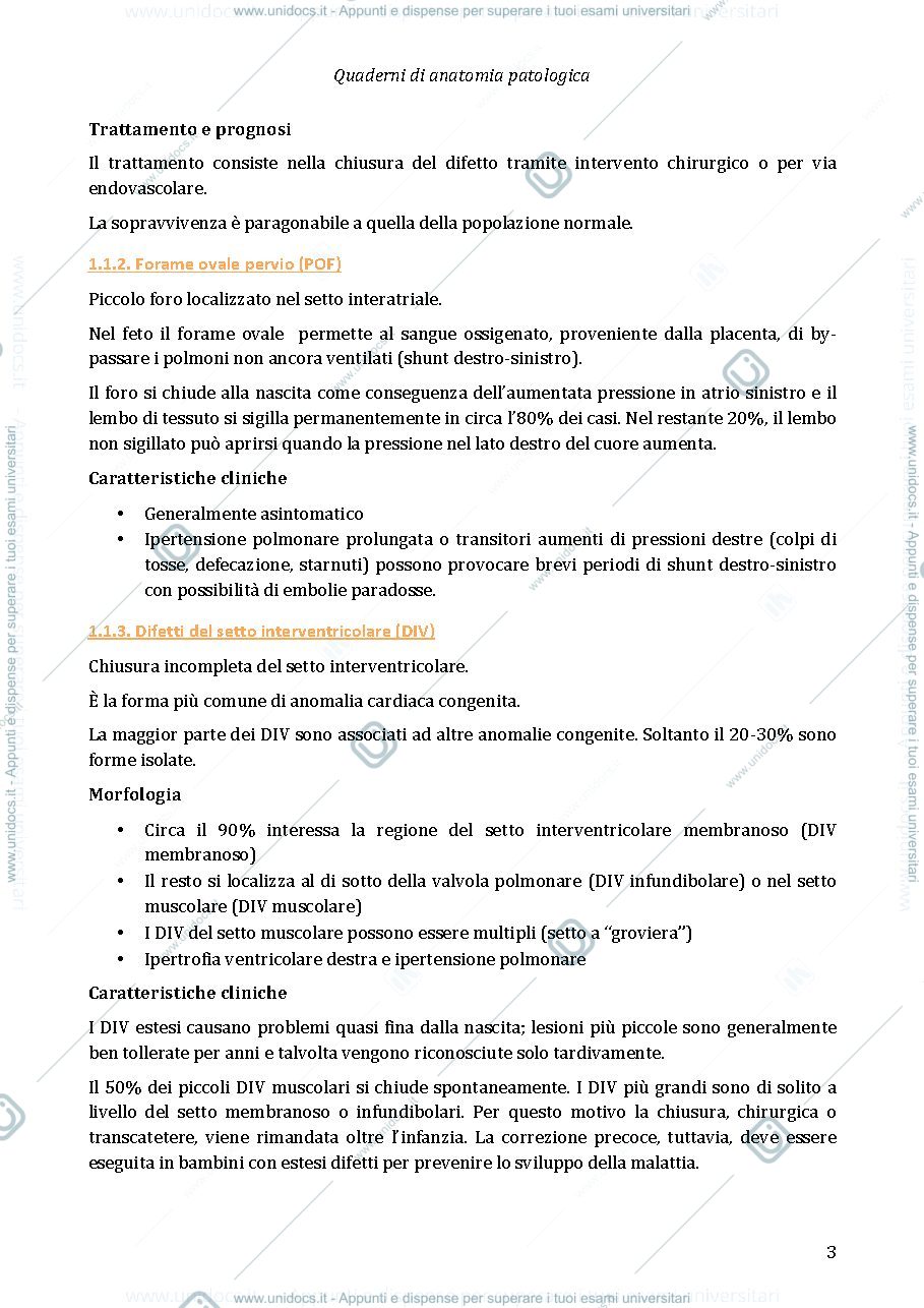 Anteprima pagina 3 — anatomia patologica cuore