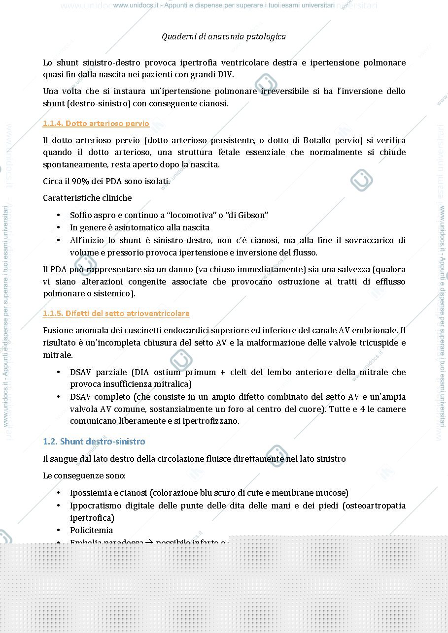 Anteprima pagina 4 — anatomia patologica cuore