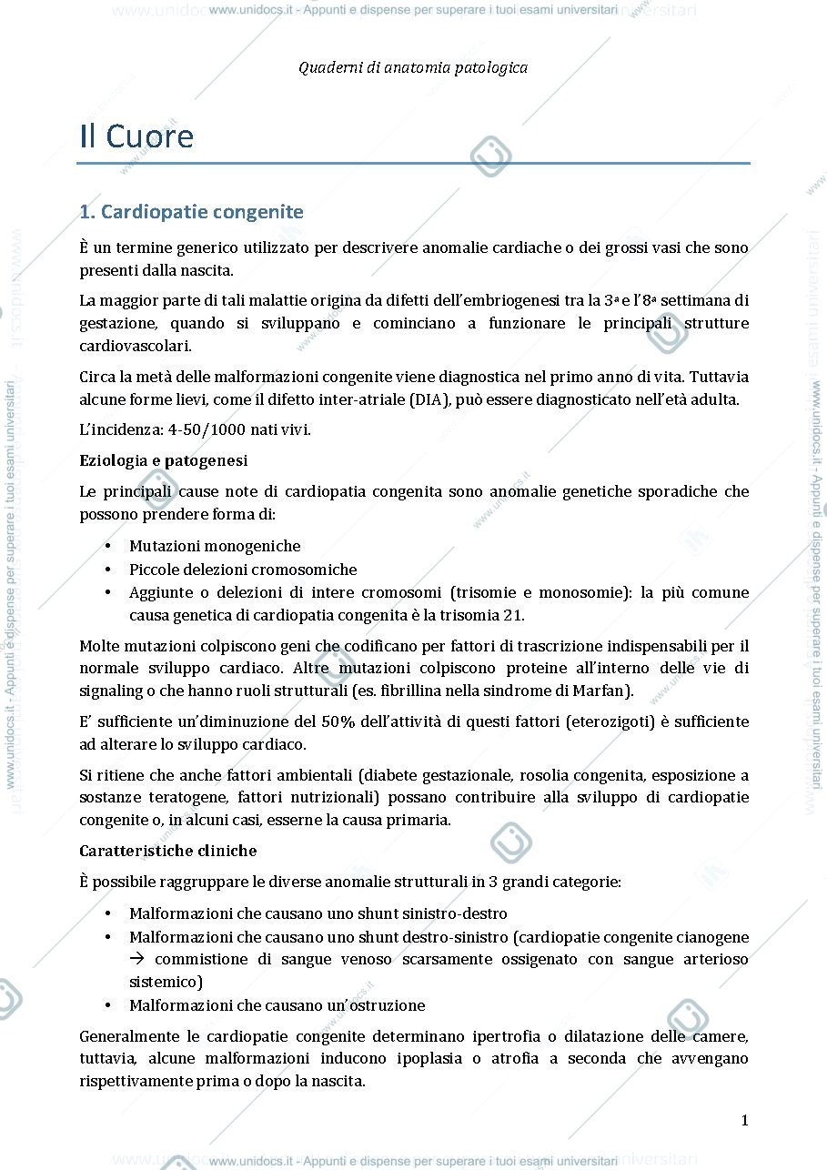 Anteprima pagina 1 — Anatomia patologica - Cuore