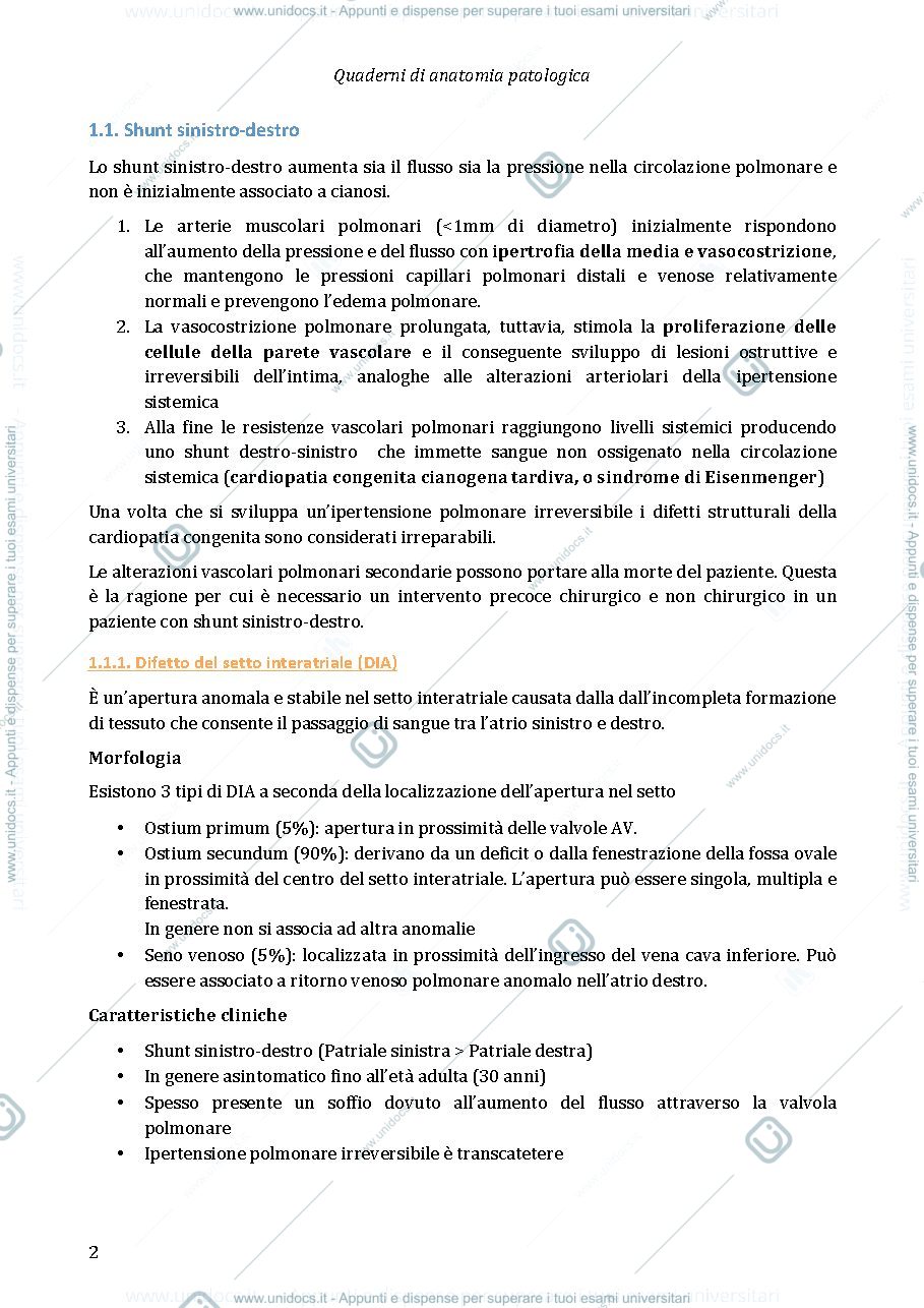 Anteprima pagina 2 — Anatomia patologica - Cuore