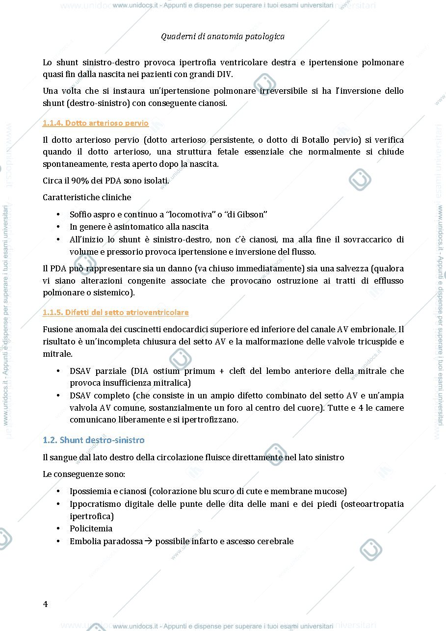 Anteprima pagina 4 — Anatomia patologica - Cuore