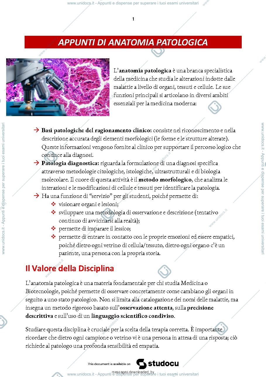 Anteprima pagina 2 — Anatomia Patologica
