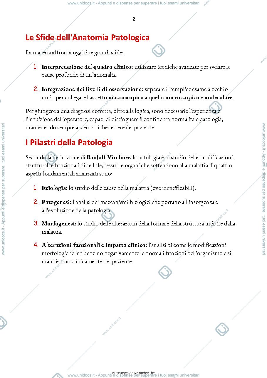 Anteprima pagina 3 — Anatomia Patologica
