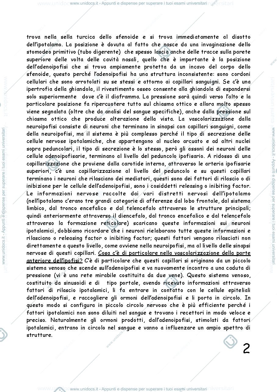Anteprima pagina 2 — Adenoipofisi