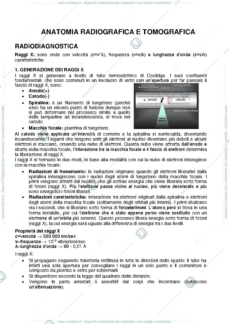 Anteprima pagina 1 — UNIBO 58180  Anatomia radiografica e tomografica veterinaria normale