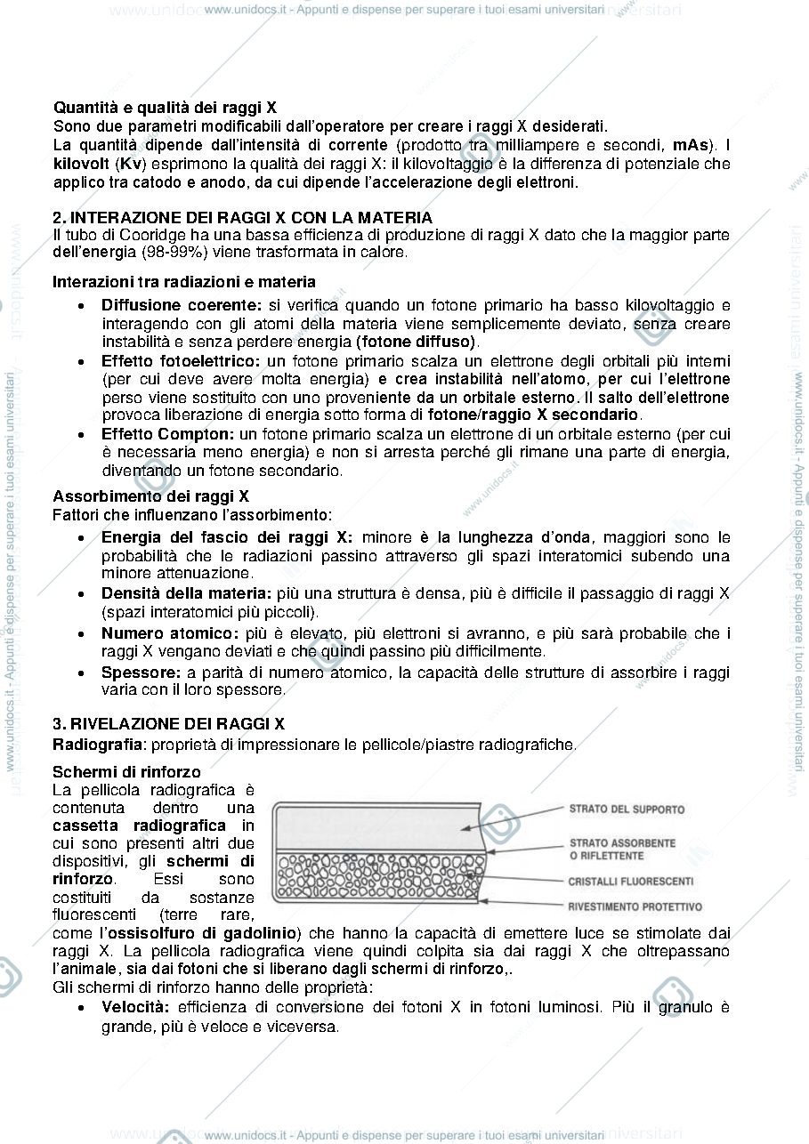 Anteprima pagina 2 — UNIBO 58180  Anatomia radiografica e tomografica veterinaria normale