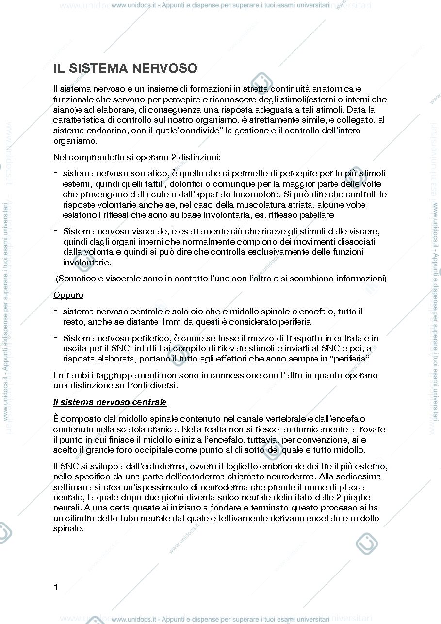 Anteprima pagina 1 — il sistema nervoso centrale