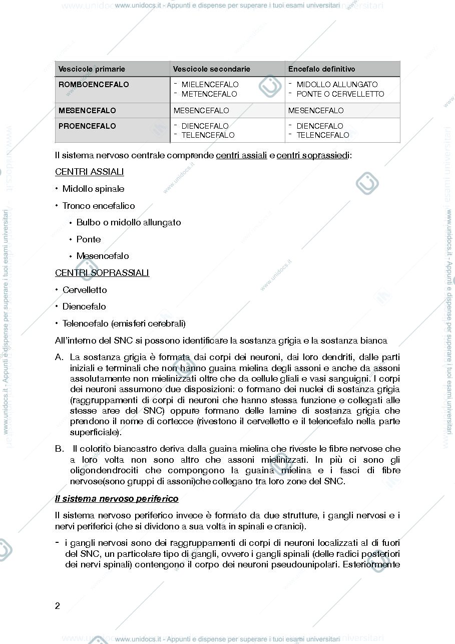 Anteprima pagina 2 — il sistema nervoso centrale
