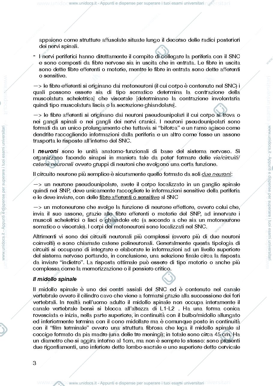 Anteprima pagina 3 — il sistema nervoso centrale