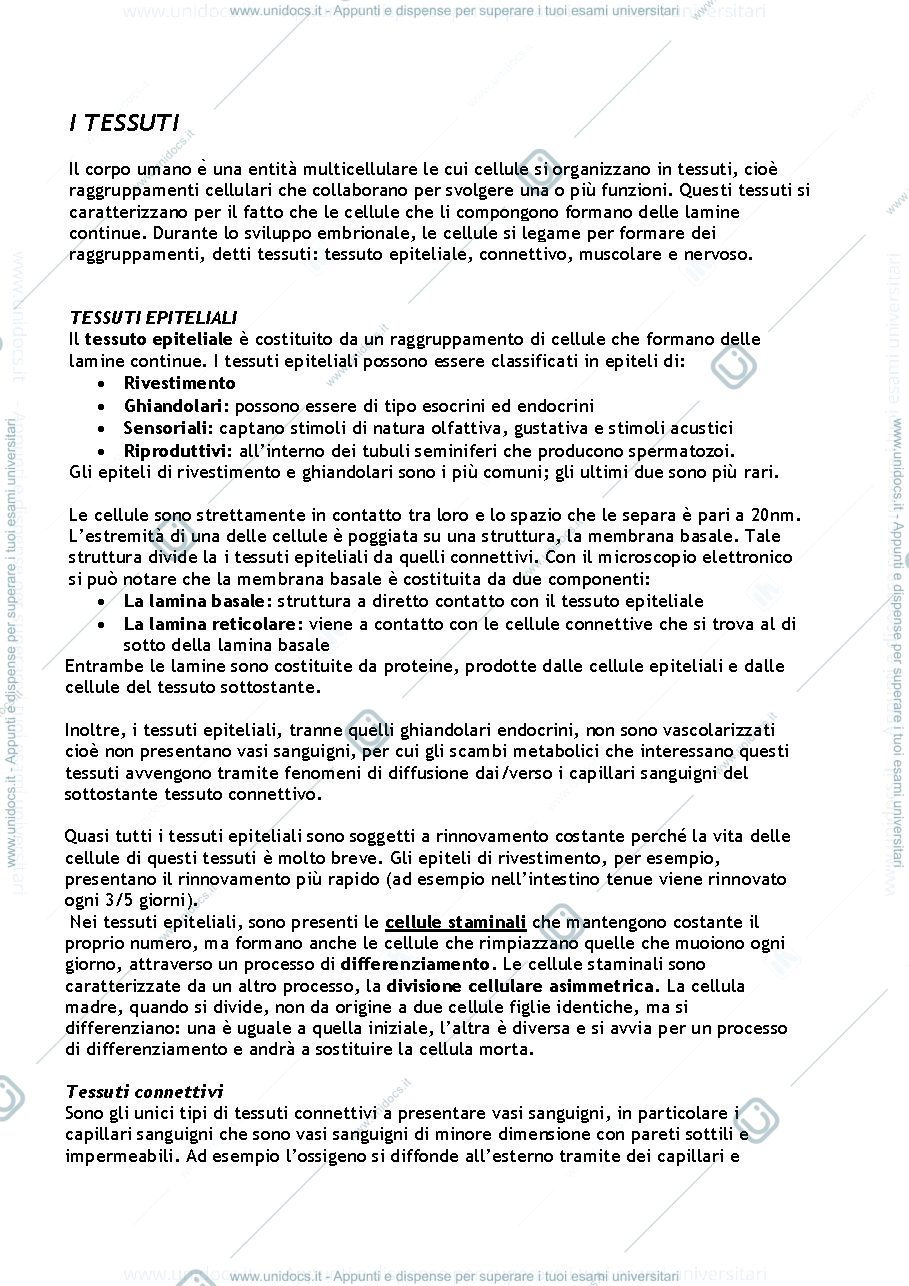 Anteprima pagina 1 — Appunti sui tessuti 