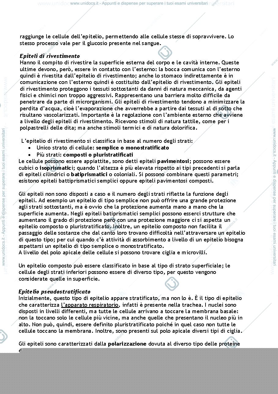 Anteprima pagina 2 — Appunti sui tessuti 